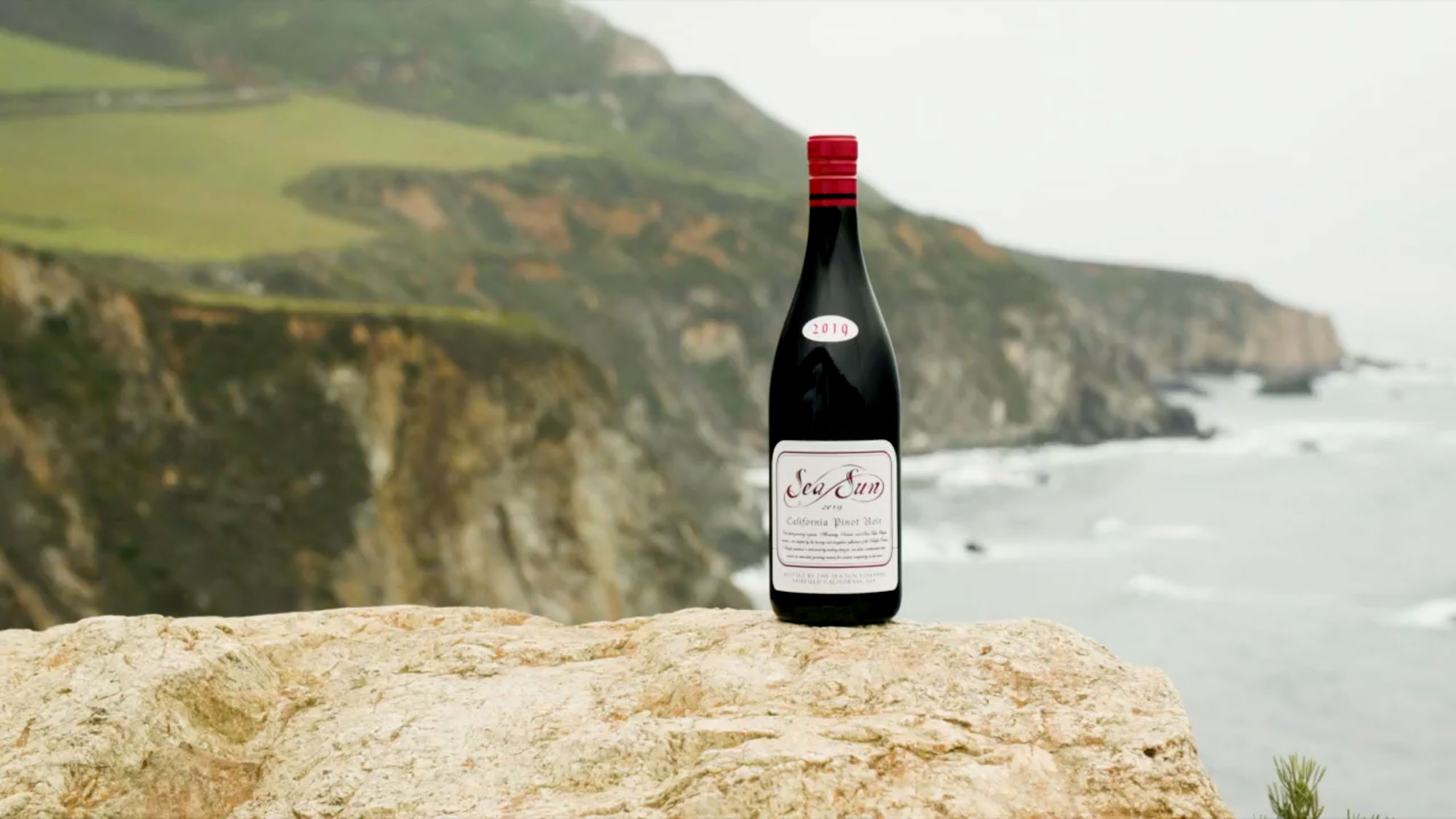 Sea sun sales pinot noir
